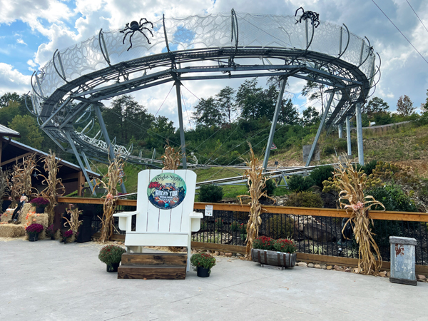 Rocky Top Mountain Coaster and big spiders