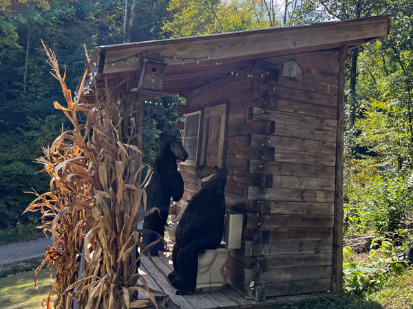 bears in a cabin