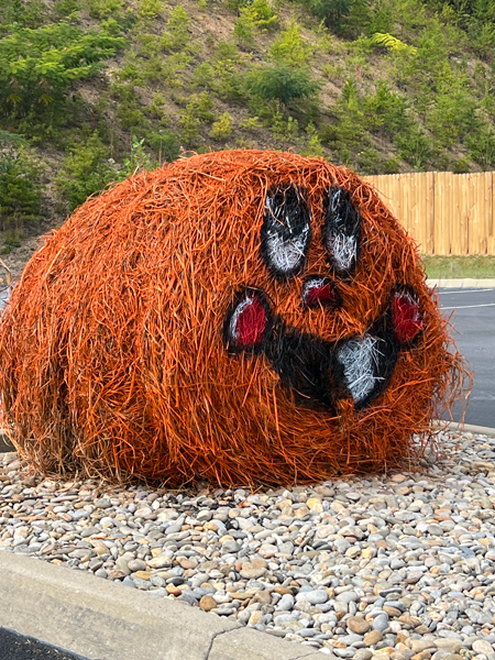 laughing hay bale