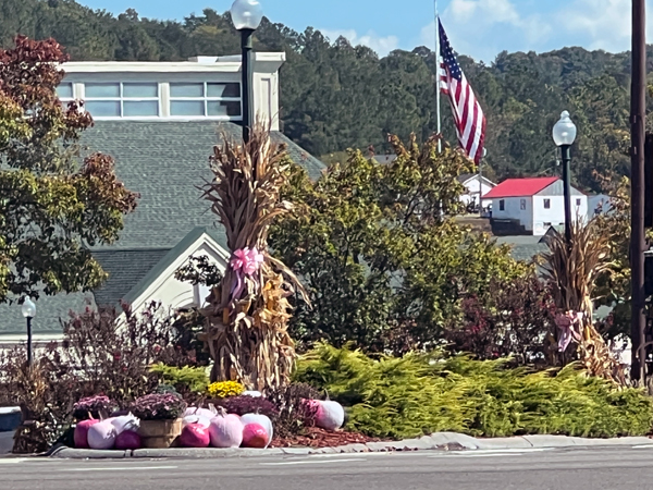 two-tone pink pumpkins