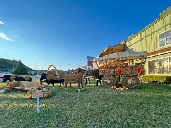 pumpkins, donkey, stagecoach, wagon