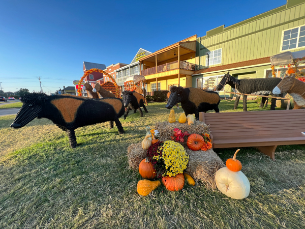 pumpkins, donkey, stagecoach, wago