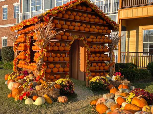 pumpkin house