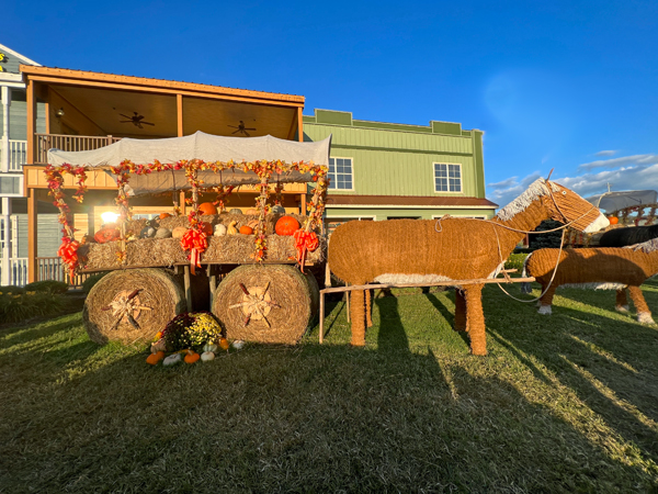 horse and pumpkin wagon