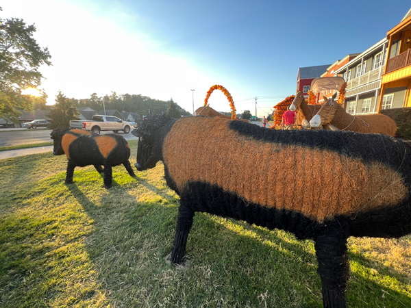 pumpkins, donkey, stagecoach, wagon