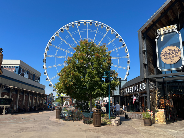 Ferris Wheel on the Island