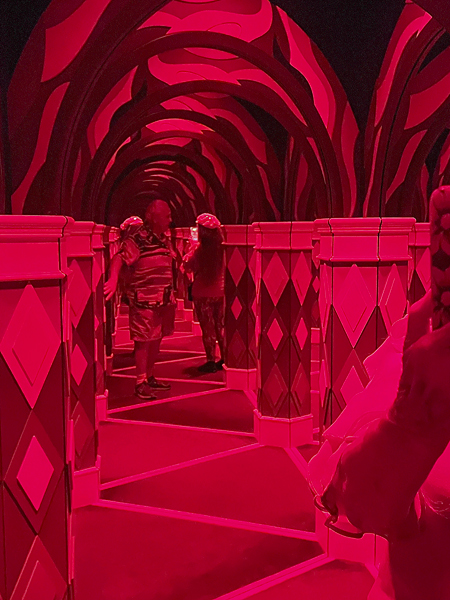 The two RV Gypsies in the mirror maze