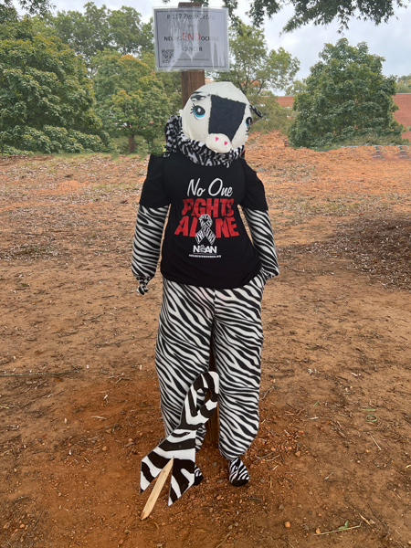 Neuroendocrine Cancer Awareness Network scarecrow