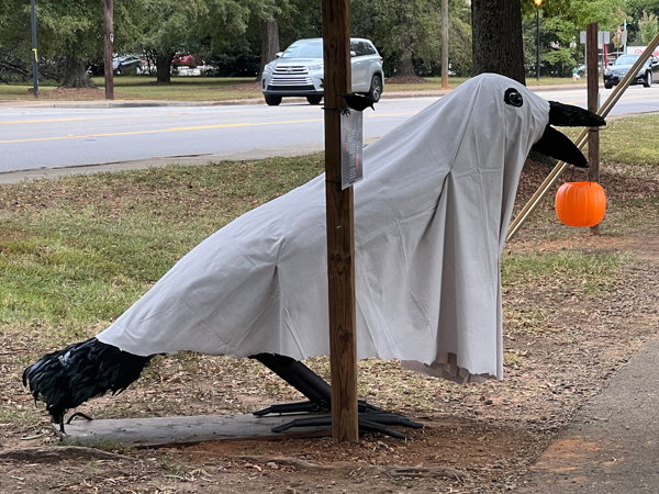 Scared Crow scarecrow