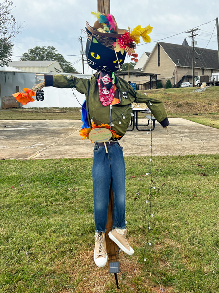 Reyansh Gujral scarecrow