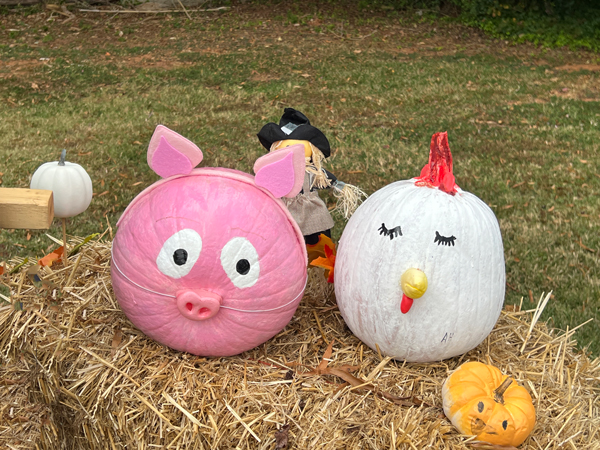 pig and rooster pumpkins