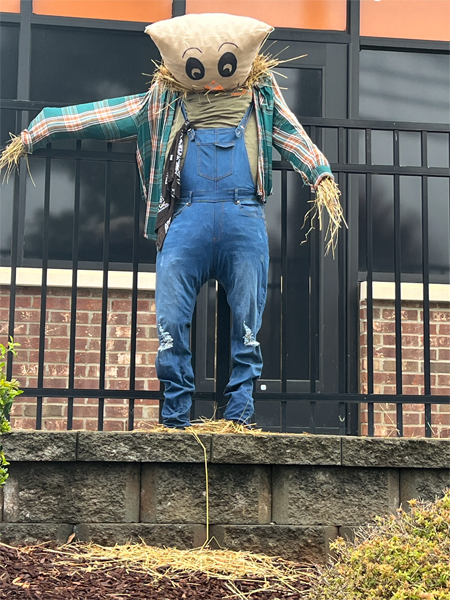 owl scarecrow
