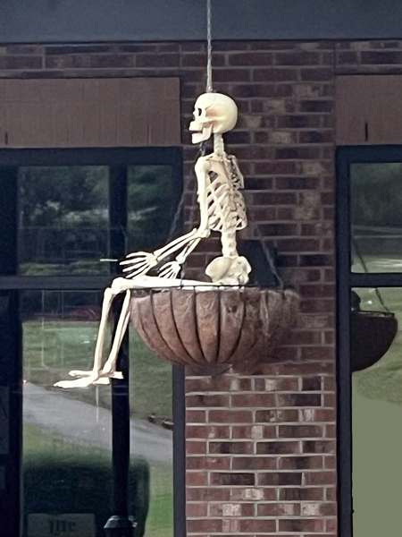 skeleton hanging in the air