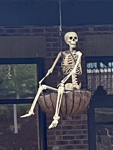 skeleton hanging in the air