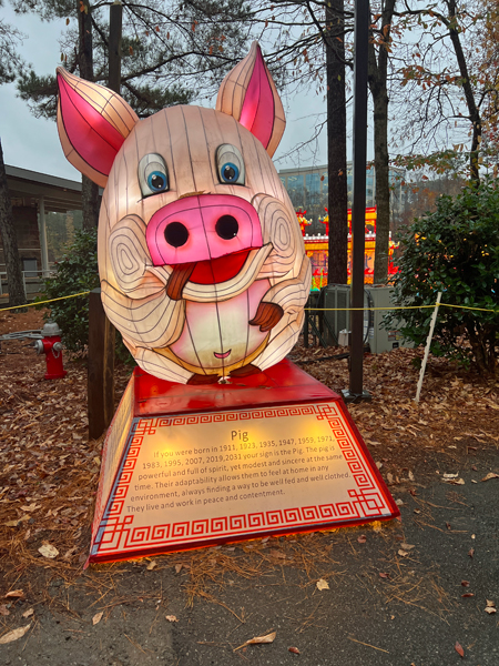 Chinese Zodiac - Pig