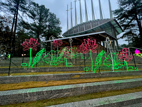 flowers in 2023
