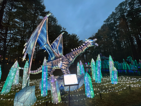 Ice Dragon