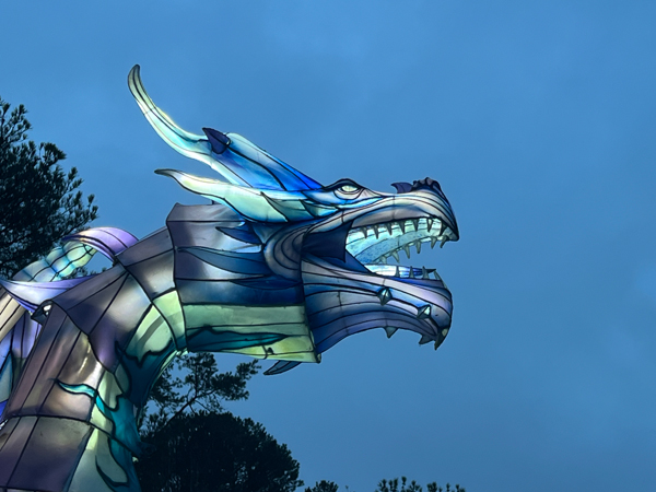 Ice Dragon