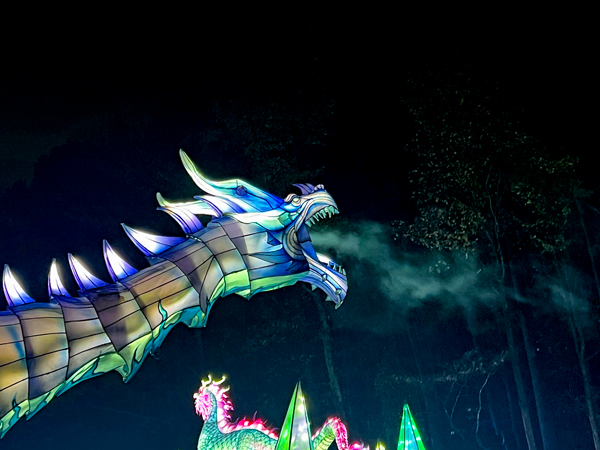 Ice Dragon