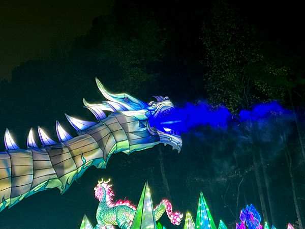 Ice Dragon