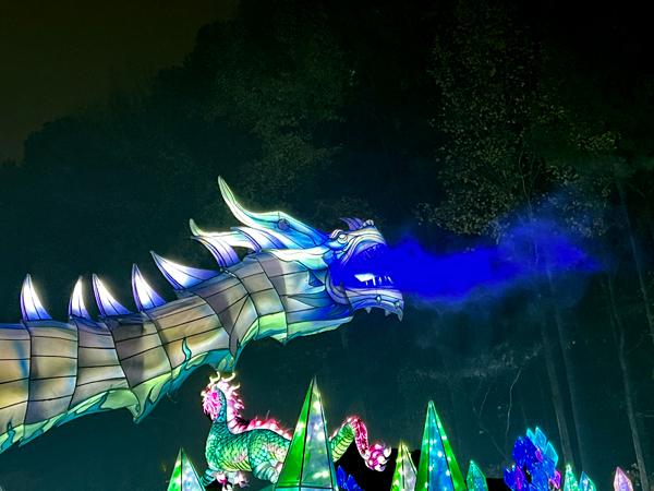 Ice Dragon