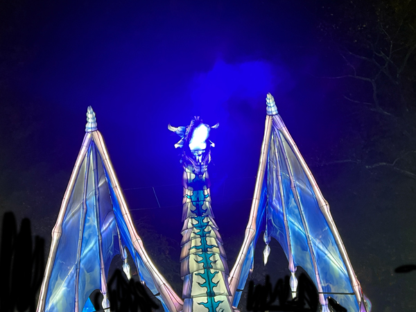 Ice Dragon