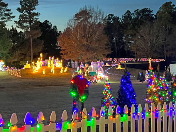 Christmas and Holiday Light display