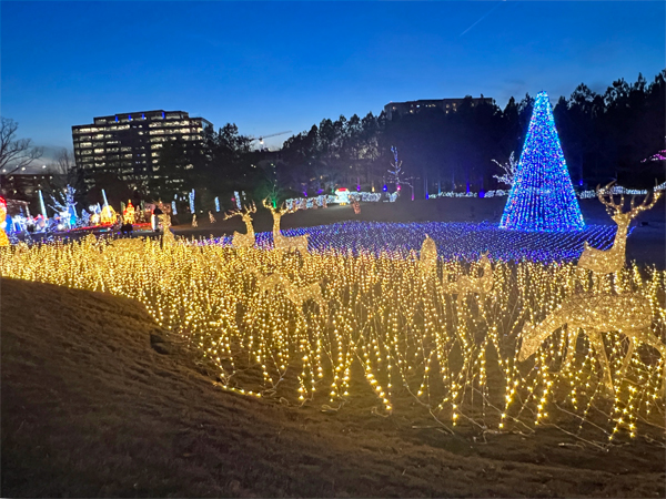 deer and a Christmas tree