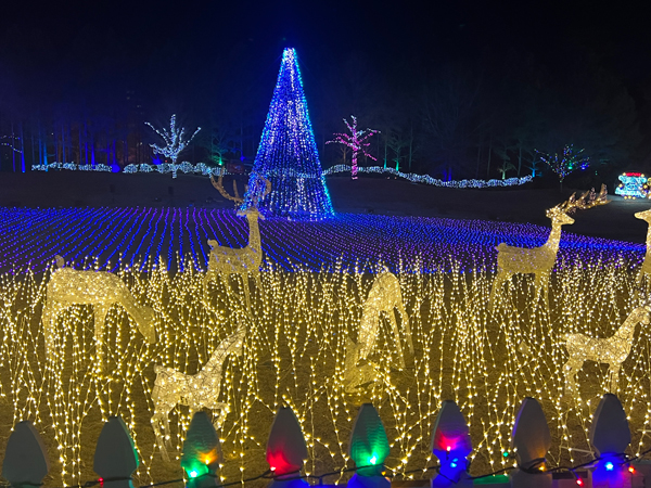 deer and a Christmas tree