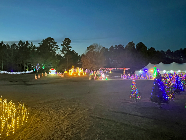 Christmas and Holiday Light display