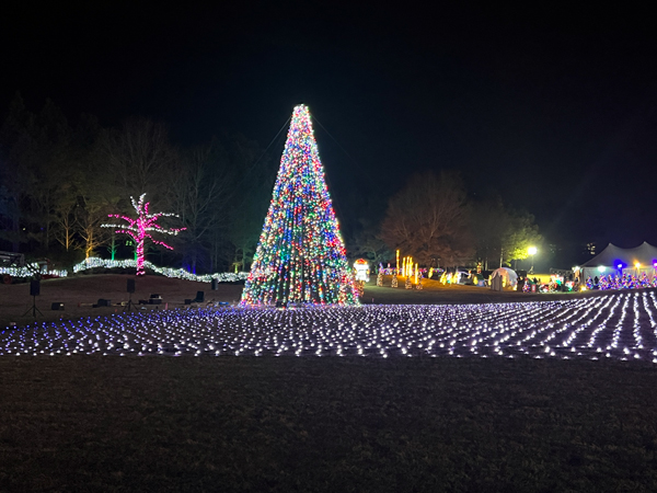 the Christmas tree changes color