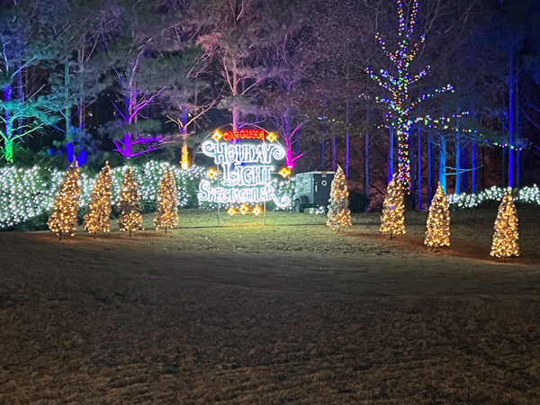 Christmas trees and lights