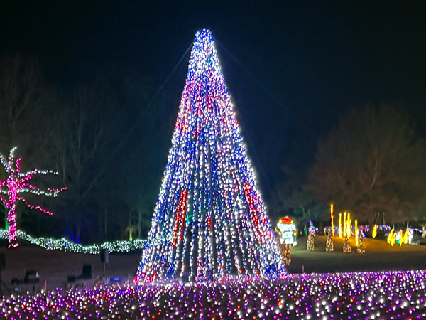 the Christmas tree changes color