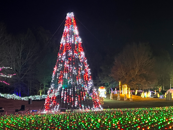 the Christmas tree changes color