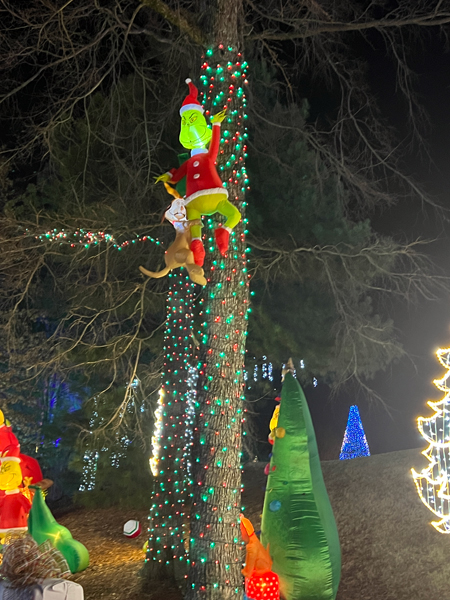 Grinch in a Christmas tree