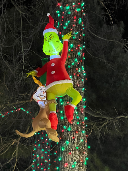 Grinch and rabbit in tree