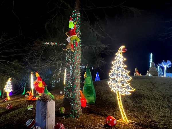 Grinch in a Christmas tree