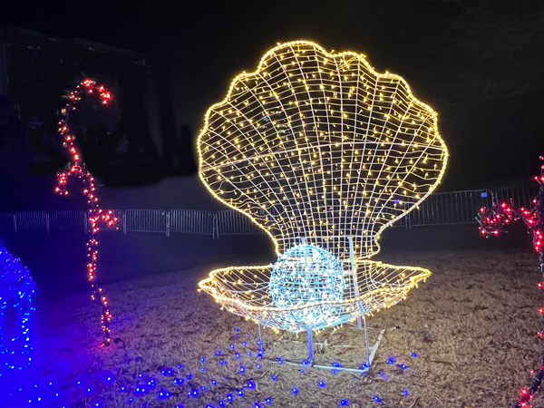 clam shell and pearl