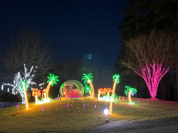 Flip-Flopping Flamingos