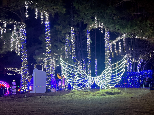 Lighted wings