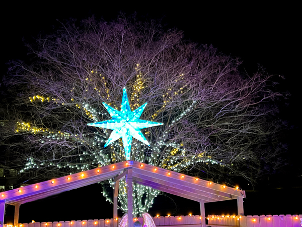 star above the manger