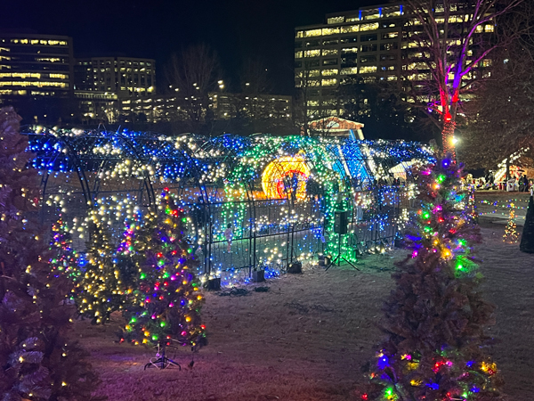 The amazing and ever-changing Tunnel of Lights