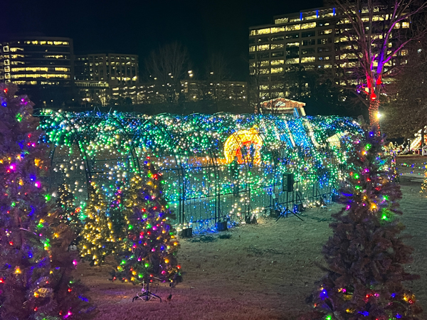 The amazing, and ever-changing Tunnel of Lights