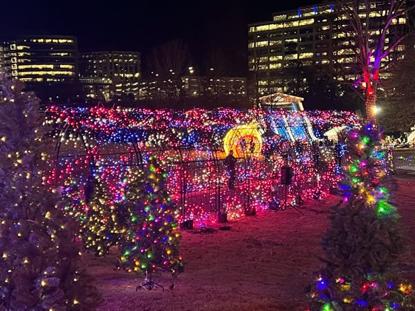 The amazing and ever-changing Tunnel of Lights