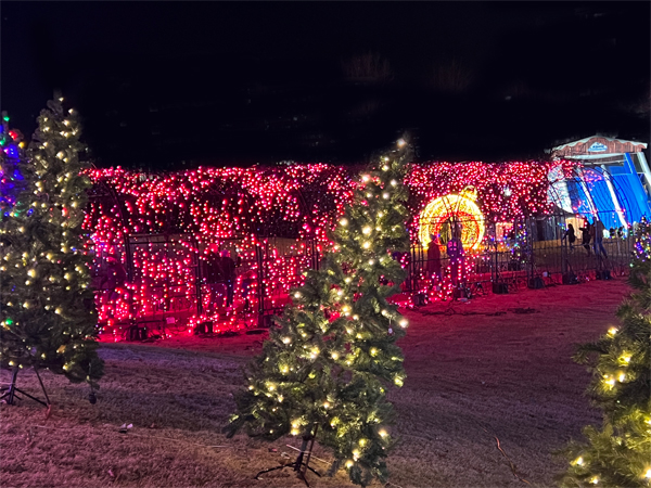 The amazing and ever-changing Tunnel of Lights