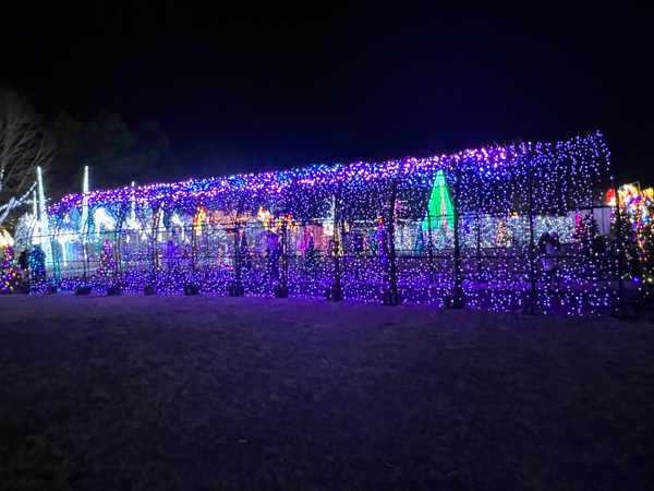 The amazing and ever-changing Tunnel of Lights