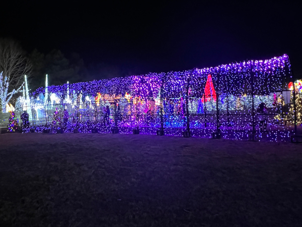 The amazing and ever-changing Tunnel of Lights