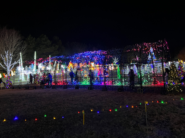 The amazing and ever-changing Tunnel of Lights