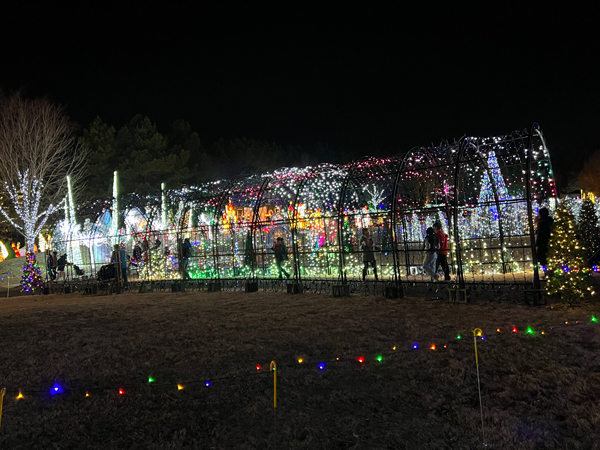 The amazin, and ever-changing Tunnel of Lights