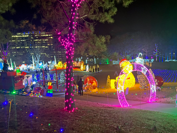 giant teddy bear in lights